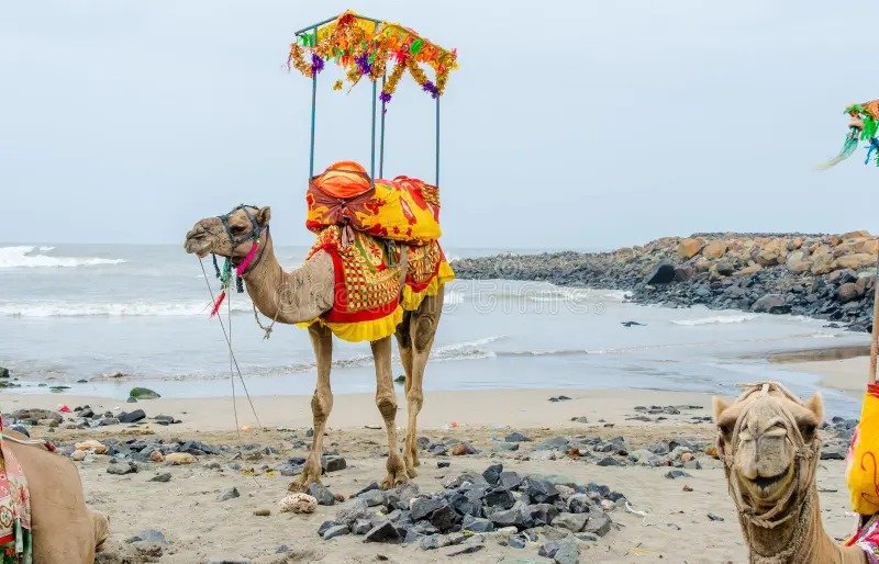 Somnath